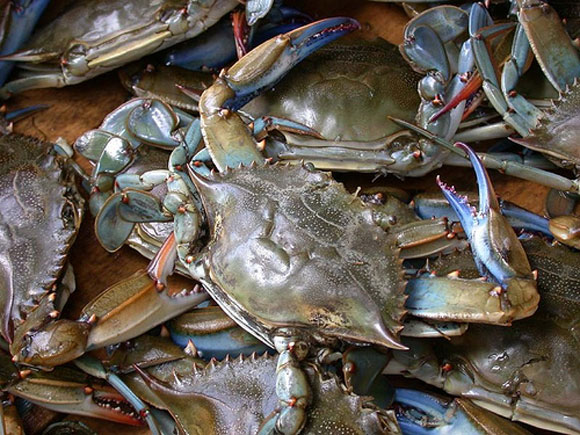 Family Traditions That Come Back To Bite Us